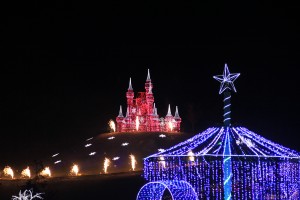 IMG_1622