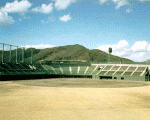 総合運動場硬式野球場