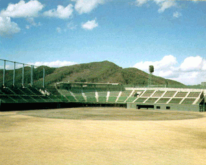 総合運動場硬式野球場