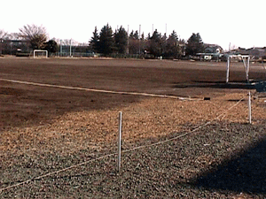 ユーユー広場