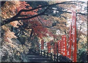 唐沢山