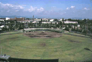 城沼野球場