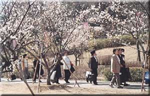 梅林公園
