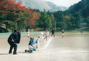 佐野市中運動公園野球場