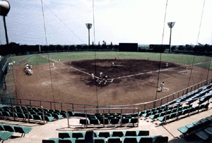 いずみ総合公園町民野球場