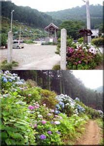 吉祥寺