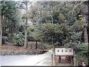 吾妻公園