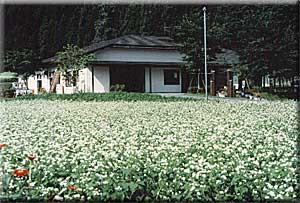 農林漁家高齢者センター