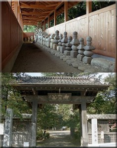 国指定史跡 新田荘遺跡 円福寺境内