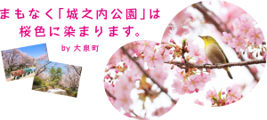 城之内公園