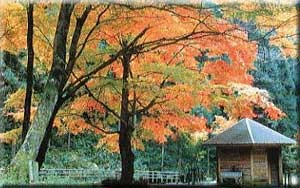 蓬莱山
